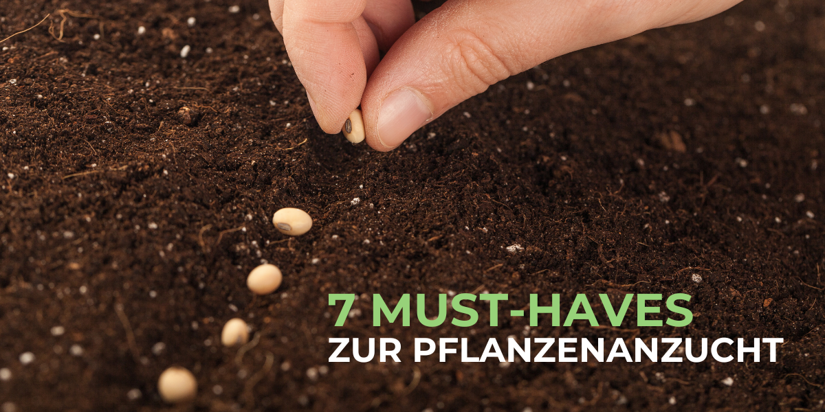 7 Must-Haves für deine Pflanzenanzucht