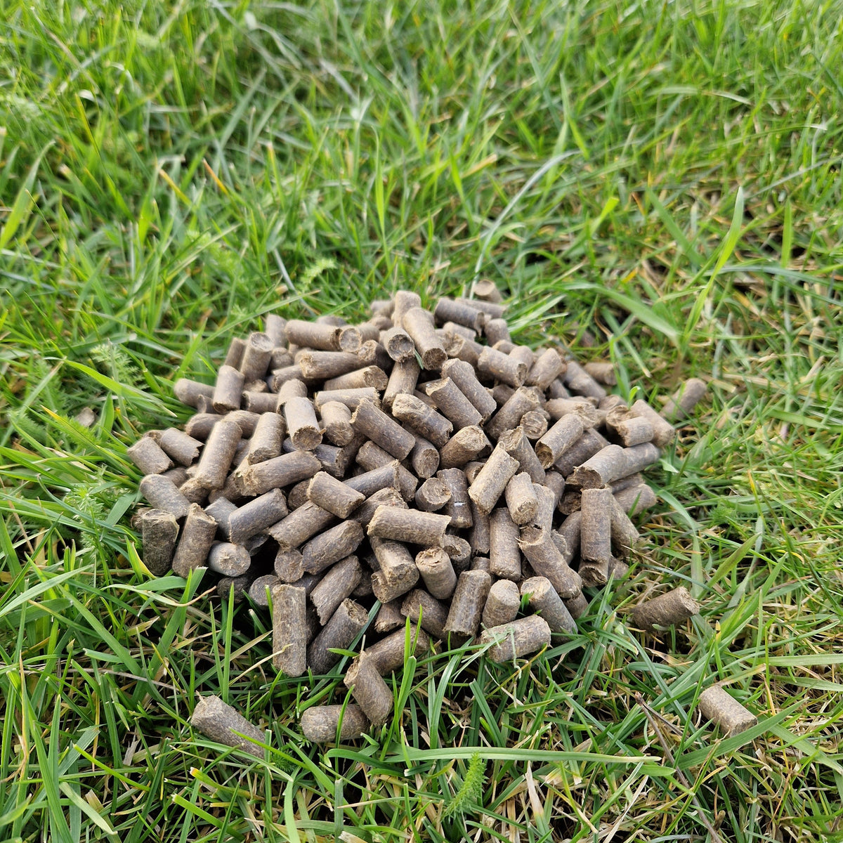 HK-PÄDs Naturdünger