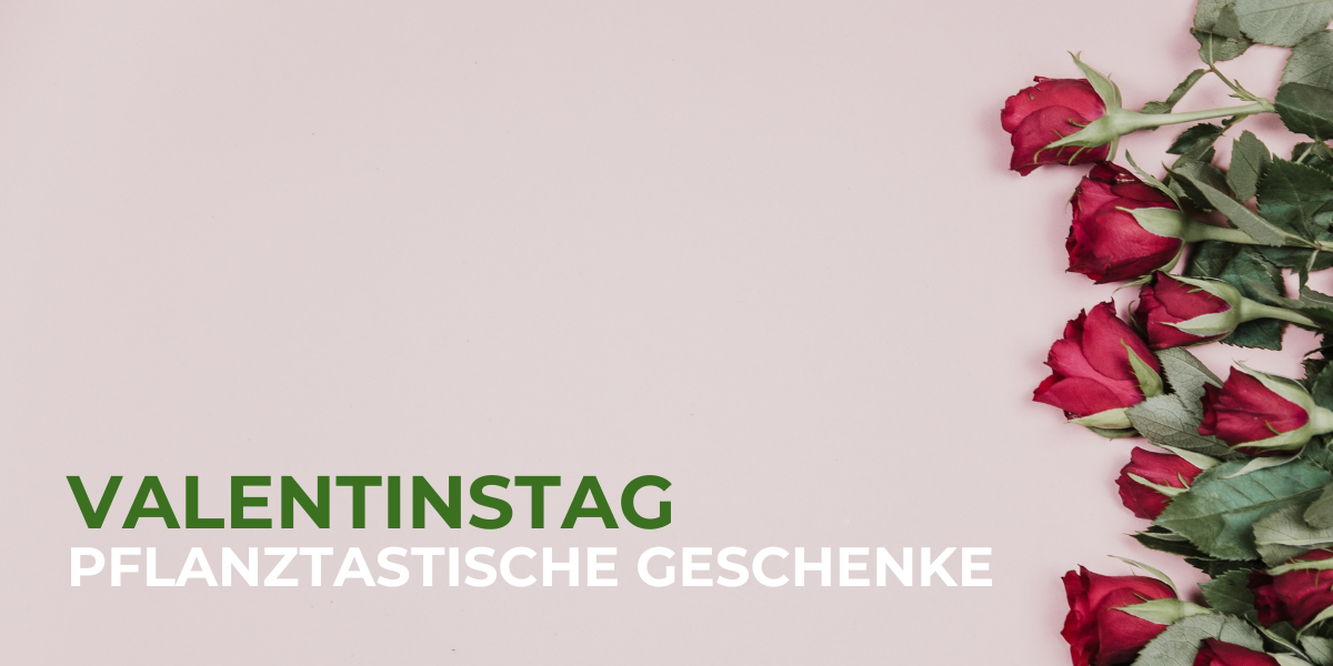 Valentinstags Geschenke für Pflanzenliebhaber